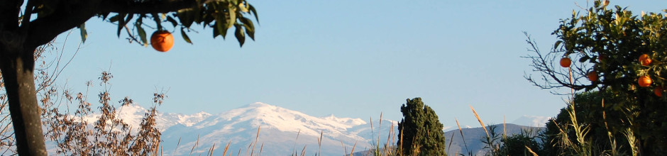 Sierra Nevada from Salobrena